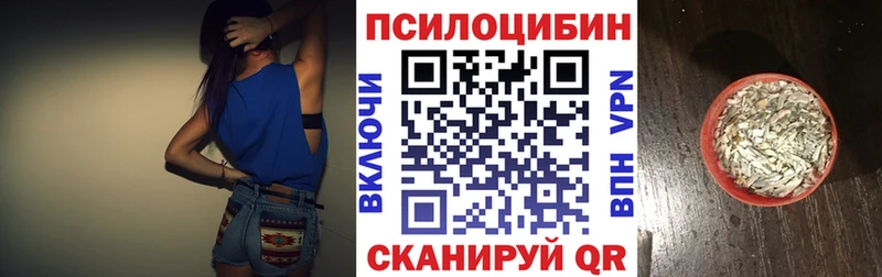 где купить Кореновск Галлюциногенные грибы прущие грибы