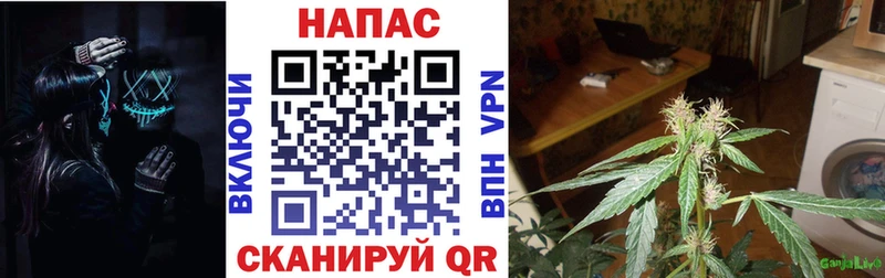 Каннабис THC 21%  даркнет сайт  Кореновск 